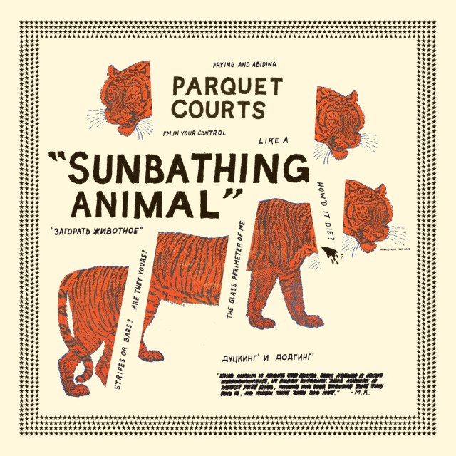 parquet courts sunbathing animal