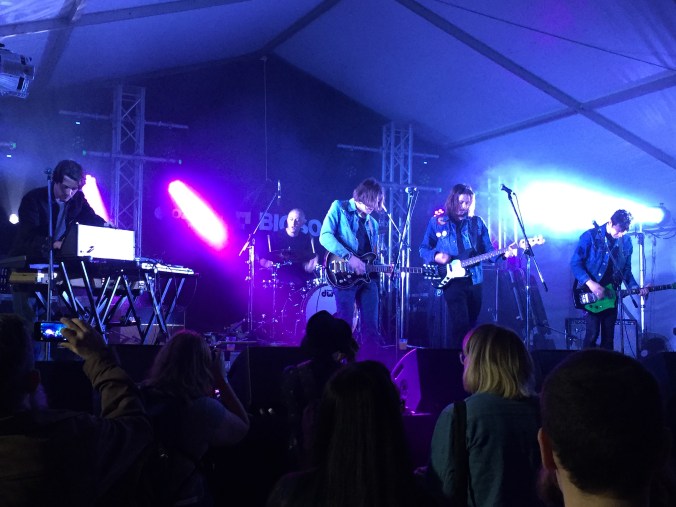 Green Buzzard Bigsound