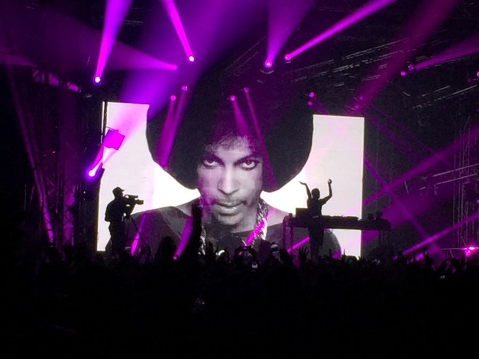 Fatboy Slim Brisbane January 2018 Electric Gardens Prince